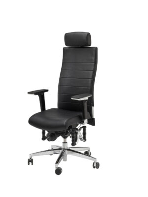 Bioswing 670IQ echt Leder